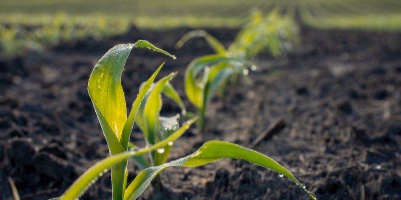 Farm operations structured